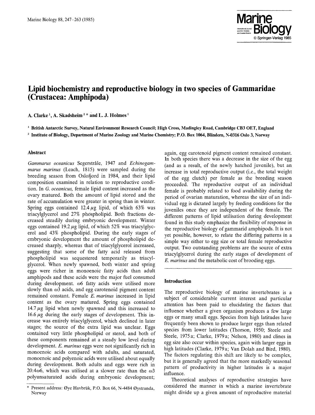 Lipid biochemistry and reproductive biology in two species of Gammaridae (Crustacea: Amphipoda) by Unknown
