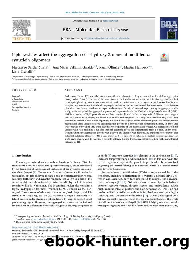 Lipid vesicles affect the aggregation of 4-hydroxy-2-nonenal-modified Î±-synuclein oligomers by unknow