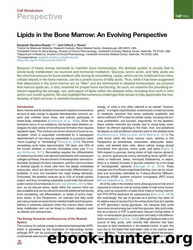 Lipids in the Bone Marrow: An Evolving Perspective by Elizabeth Rendina-Ruedy & Clifford J. Rosen