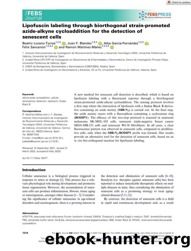 Lipofuscin labeling through biorthogonal strainâpromoted azideâalkyne cycloaddition for the detection of senescent cells by Unknown
