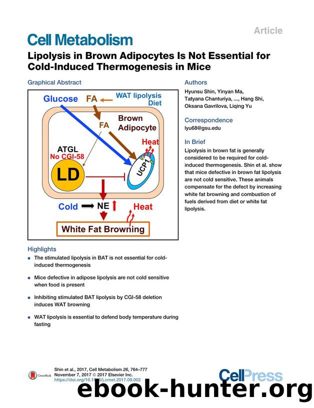 Lipolysis in Brown Adipocytes Is Not Essential for Cold-Induced Thermogenesis in Mice by unknow