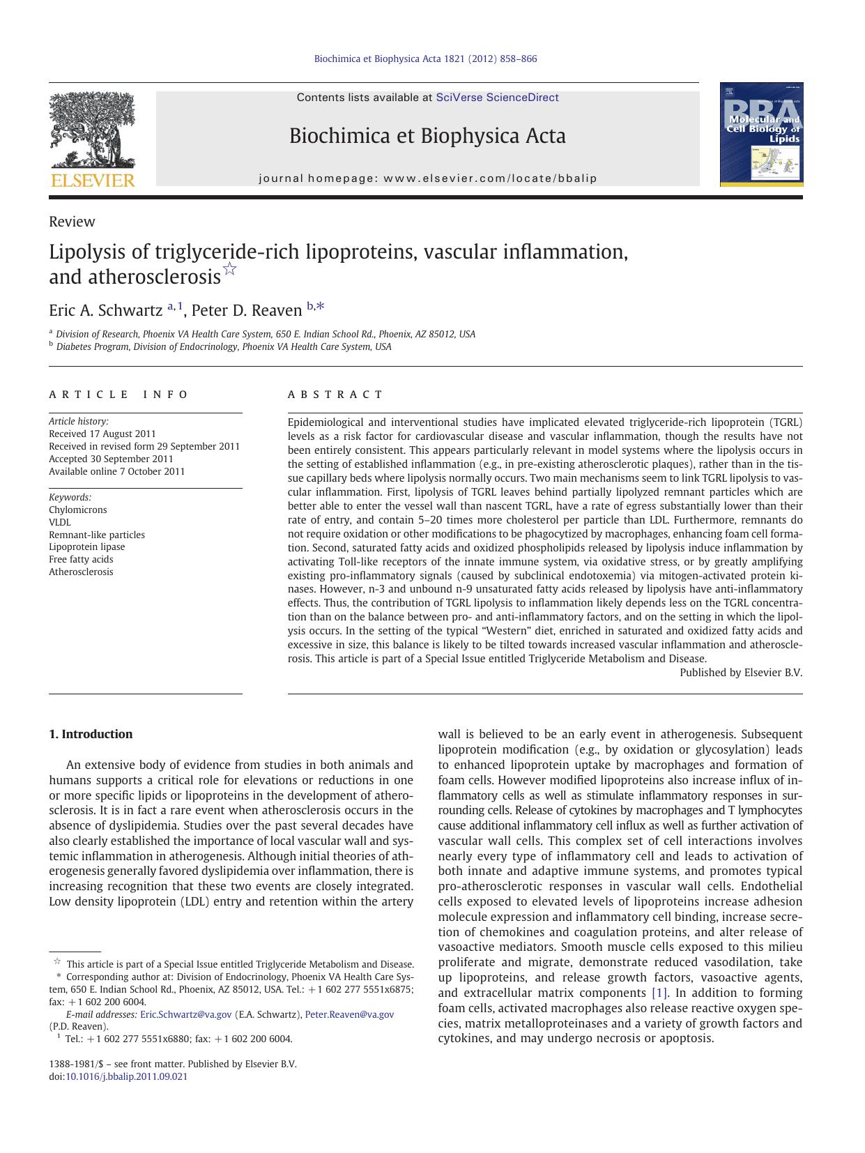 Lipolysis of triglyceride-rich lipoproteins, vascular inflammation, and atherosclerosis by Eric A. Schwartz & Peter D. Reaven