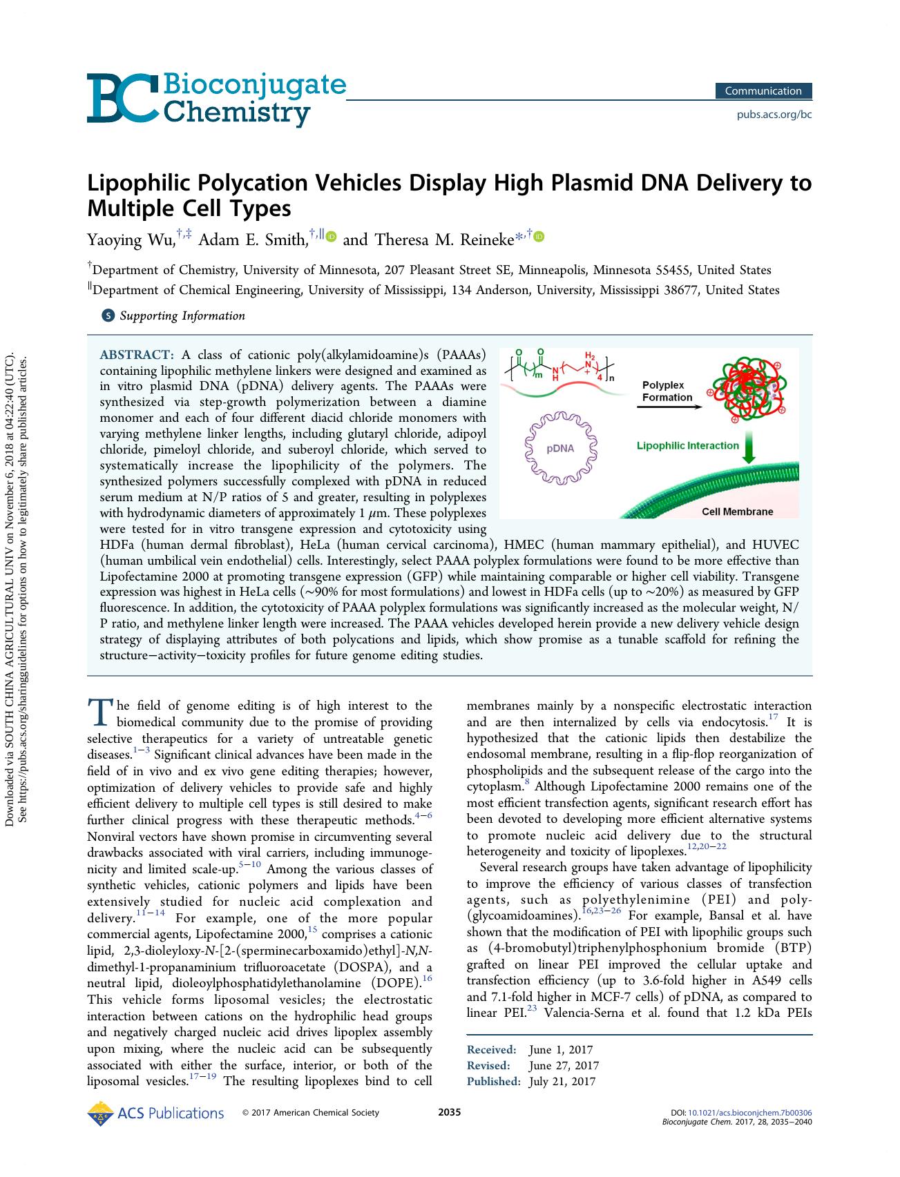 Lipophilic Polycation Vehicles Display High Plasmid DNA Delivery to Multiple Cell Types by Yaoying Wu Adam E. Smith & Theresa M. Reineke