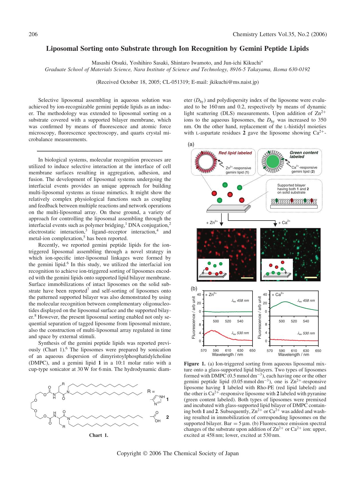 Liposomal Sorting onto Substrate through Ion Recognition by Gemini Peptide Lipids by Masashi Otsuki Yoshihiro Sasaki Shintaro Iwamoto and Jun-ichi Kikuchi