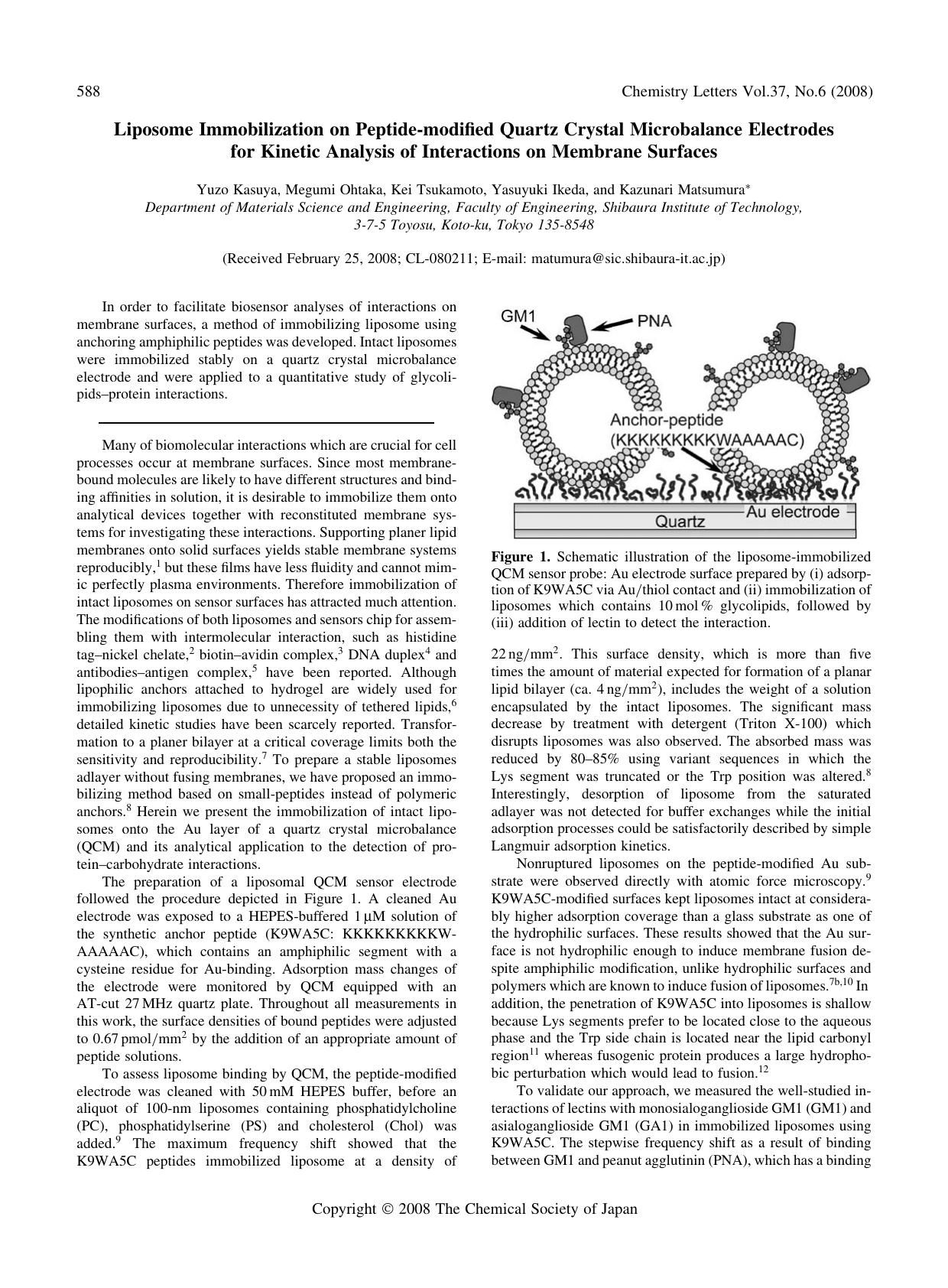 Liposome Immobilization on Peptide-modified Quartz Crystal Microbalance Electrodes for Kinetic Analysis of Interactions on Membrane Surfaces by Yuzo Kasuya Megumi Ohtaka Kei Tsukamoto Yasuyuki Ikeda and Kazunari Matsumura