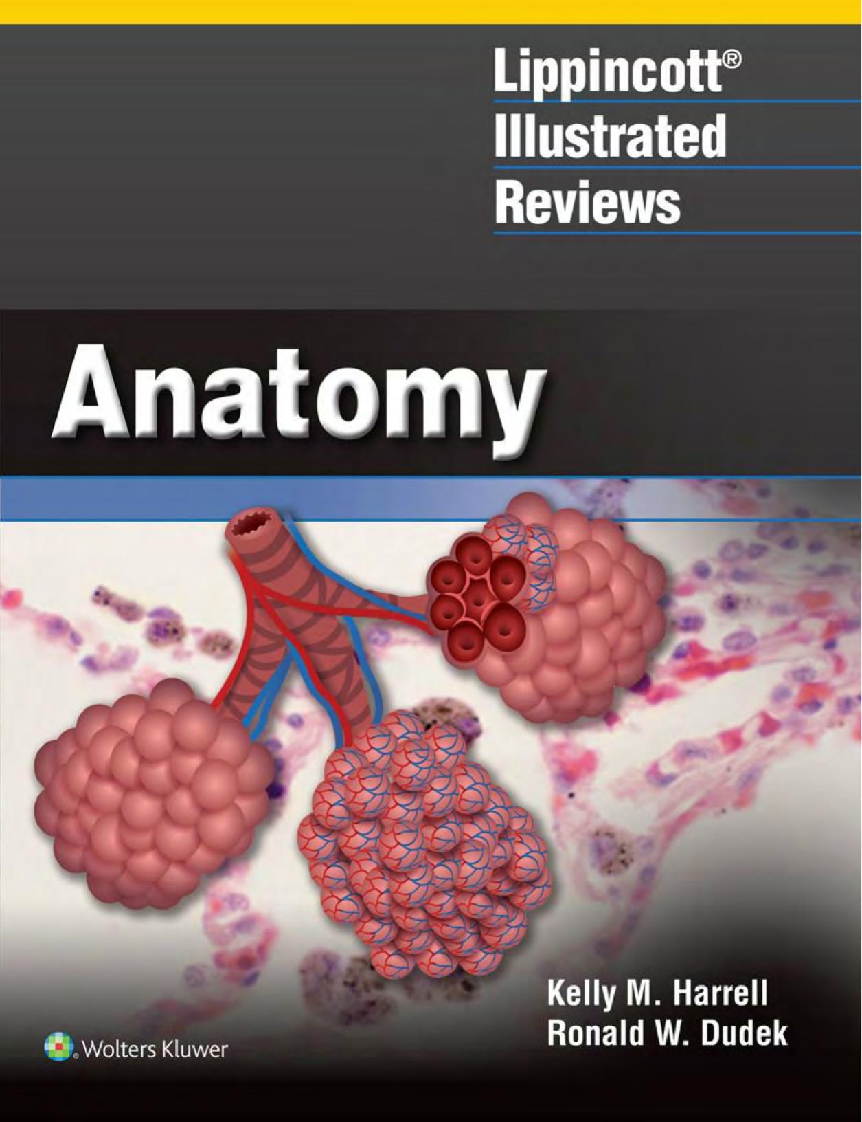 Lippincott Illustrated Reviews: Anatomy by Ph.D. Harrell Kelly M. Ph.d. Dudek Ronald