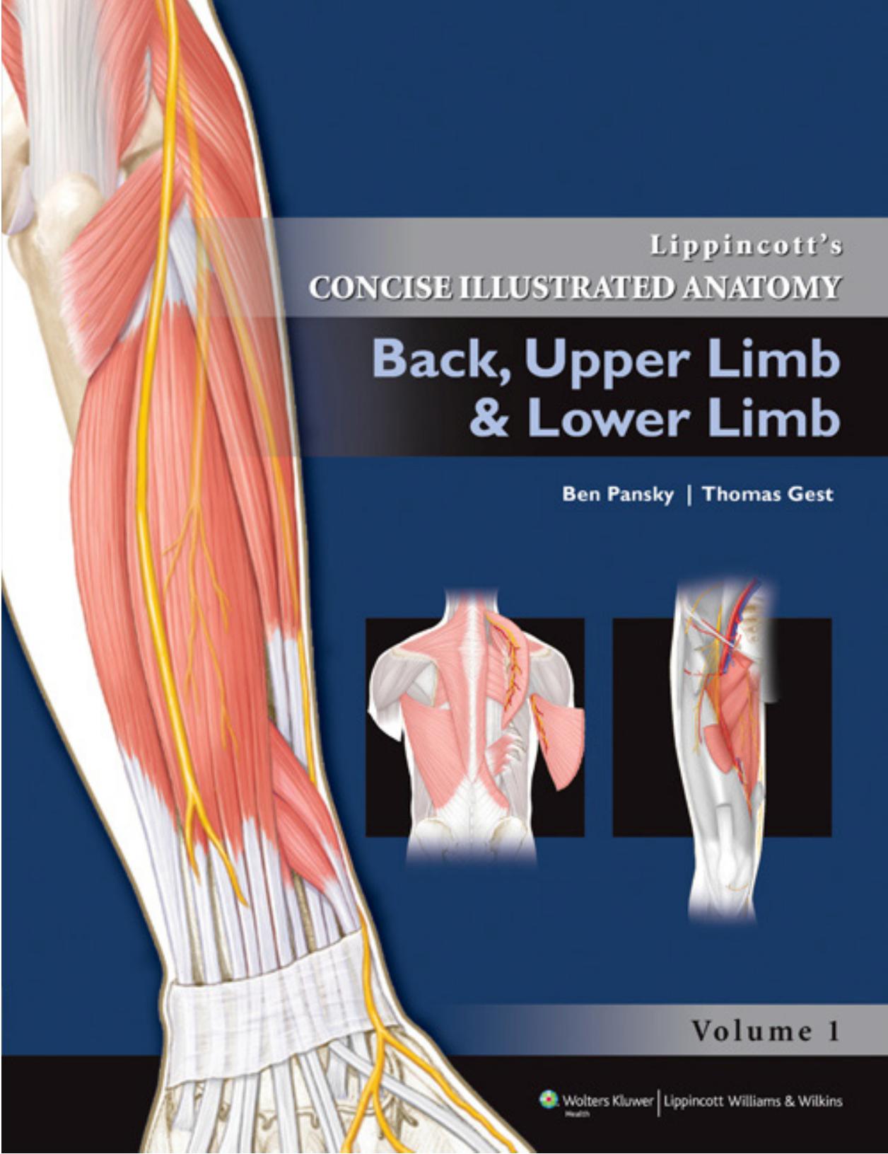 Lippincott's Concise Illustrated Anatomy: Back, Upper Limb and Lower Limb by Pansky & PhD & MD & Thomas R.Gest