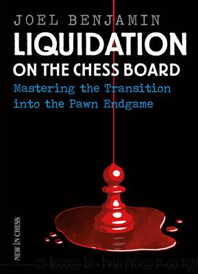 Liquidation on the Chess Board by Joel Benjamin