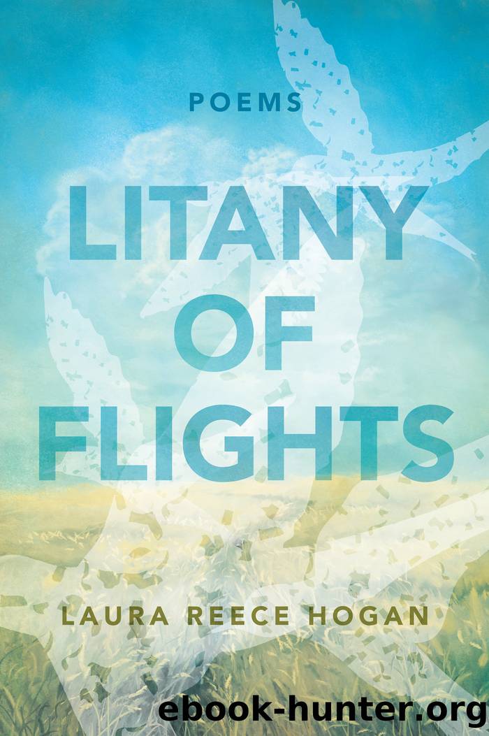 Litany of Flights by Laura Reece Hogan