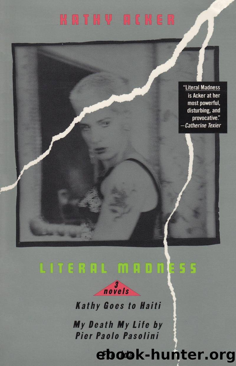 Literal Madness by Kathy Acker