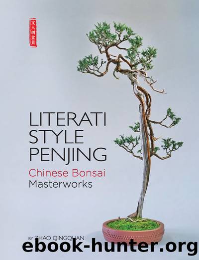 Literati Style Penjing by Zhao Qingquan