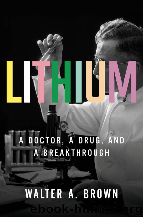 Lithium by Walter A. Brown