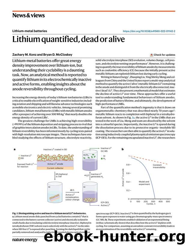 Lithium quantified, dead or alive by Zachary M. Konz & Bryan D. McCloskey