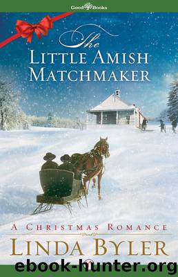 Little Amish Matchmaker by Linda Byler