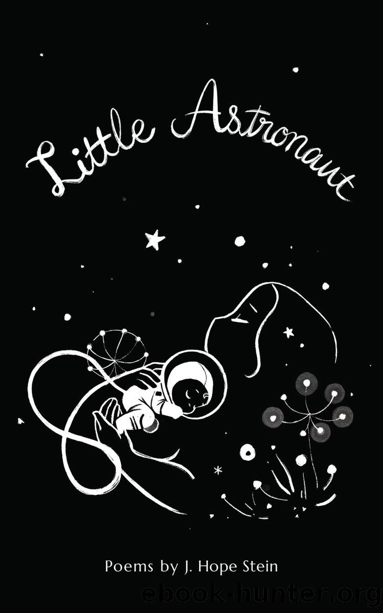 Little Astronaut by J. Hope Stein
