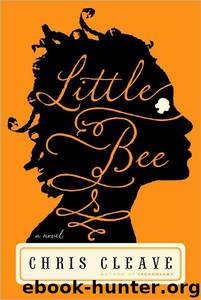 Little Bee by Chris Cleave