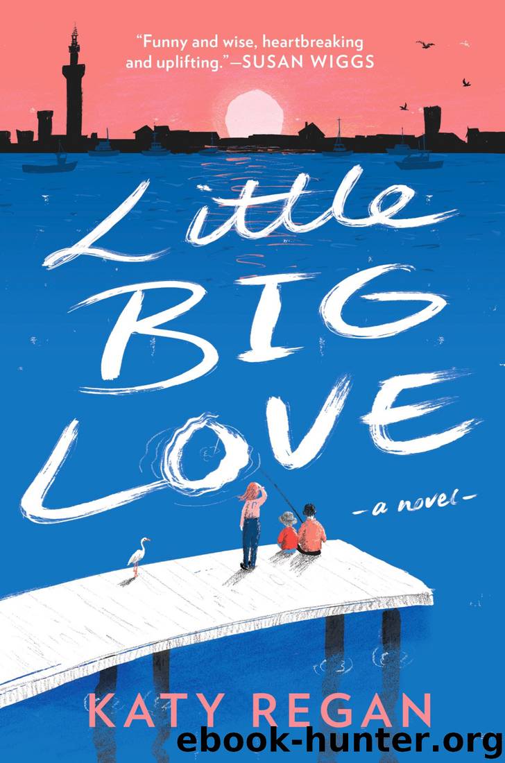 Little Big Love by Katy Regan