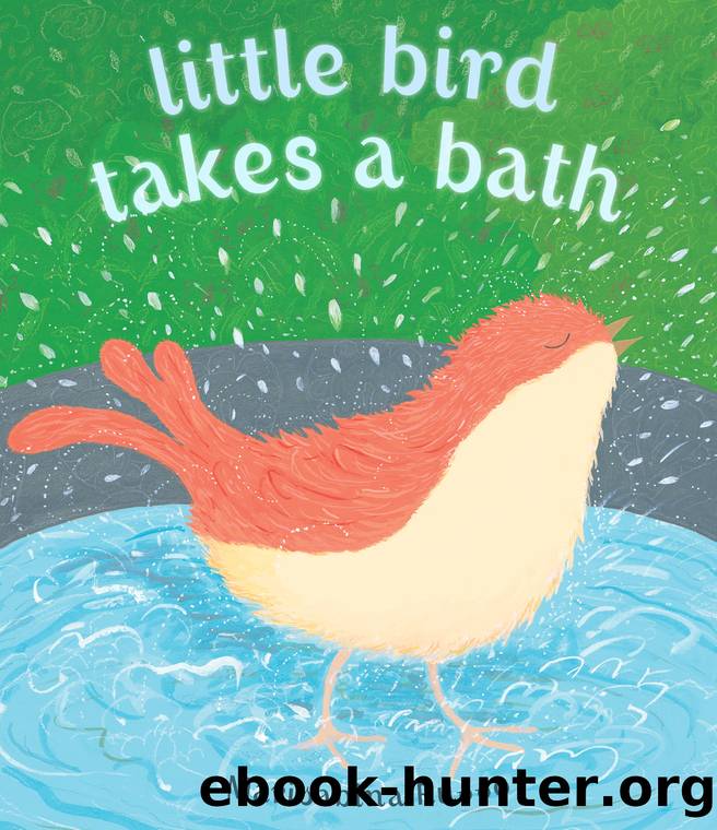 Little Bird Takes a Bath by Marisabina Russo