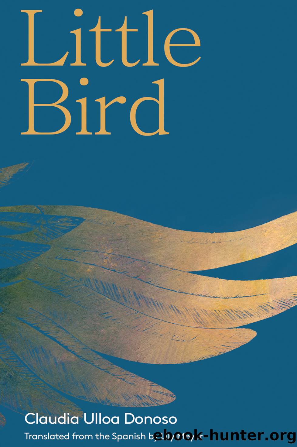 Little Bird by Claudia Ulloa Donoso