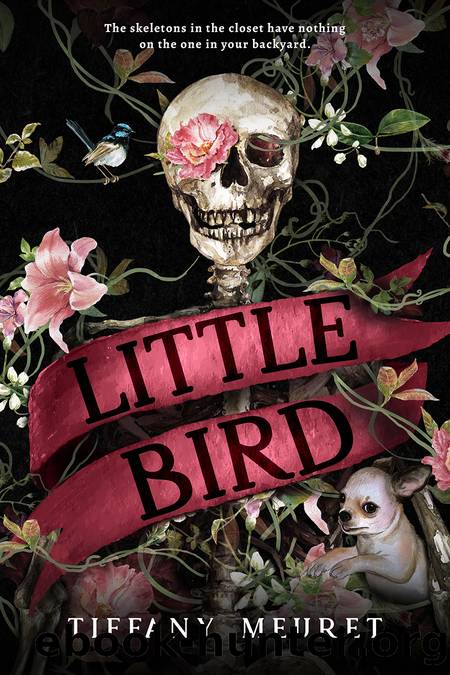 Little Bird by Tiffany Meuret