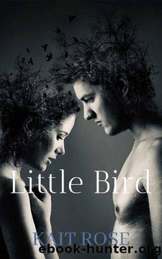 Little Bird: A College Bully Romance (J.E.R.K Book 1) by Kait Rose
