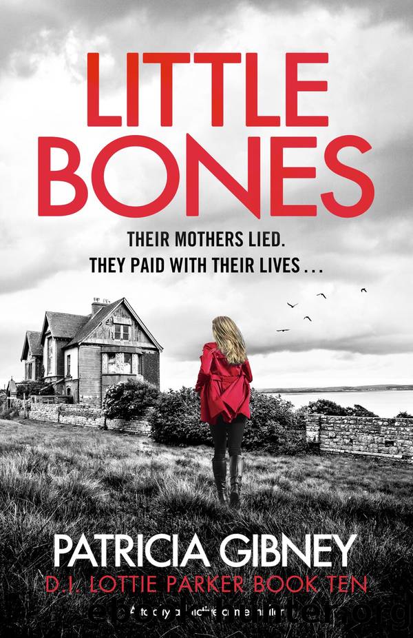 Little Bones: A totally addictive crime thriller by Patricia Gibney