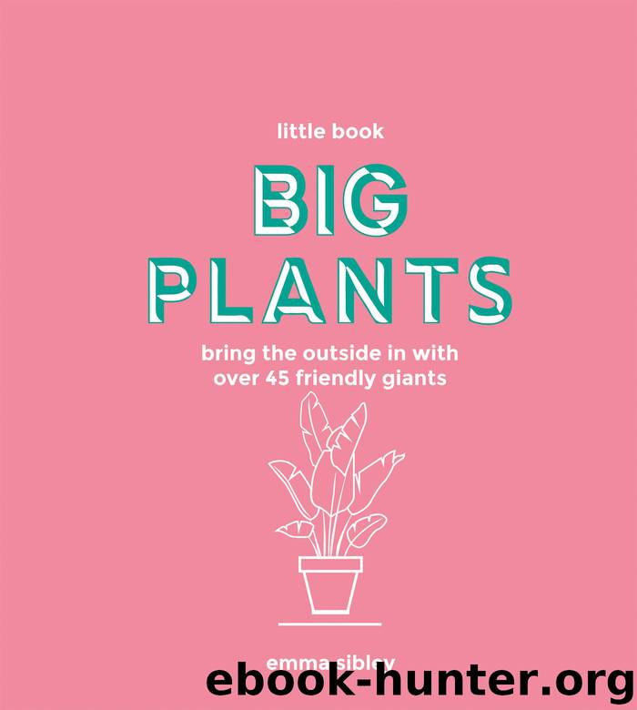 Little Book, Big Plants by Emma Sibley