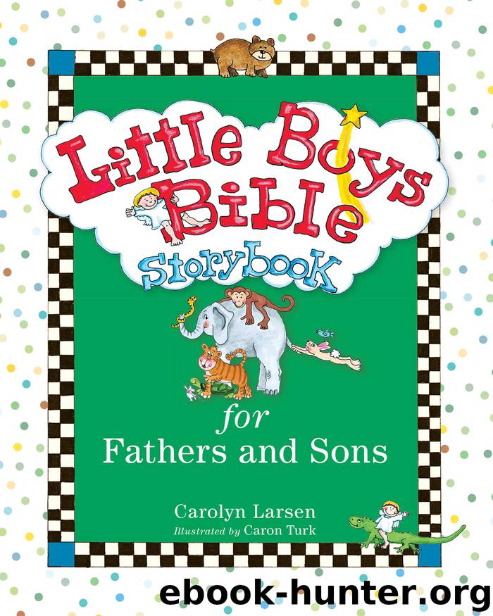 Little Boys Bible Storybook for Fathers and Sons by Carolyn Larsen