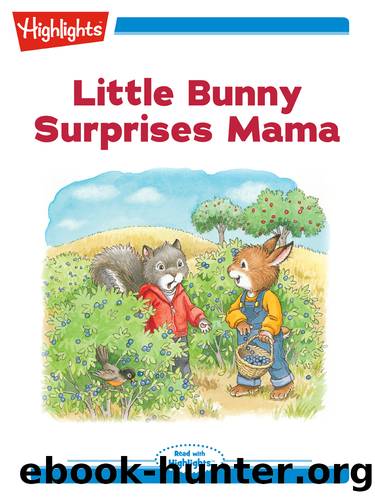 Little Bunny Surprises Mama by Eileen Spinelli