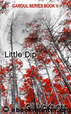 Little Dip (Garoul Book 5) by Gill McKnight