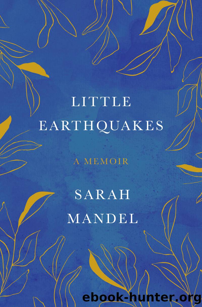 Little Earthquakes by Sarah Mandel