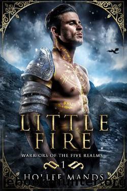 Little Fire: A Fantasy Romance (Warriors of the Five Realms Book 1) by Hollee Mands