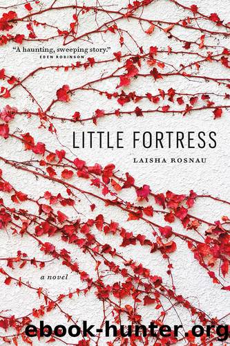 Little Fortress by Laisha Rosnau