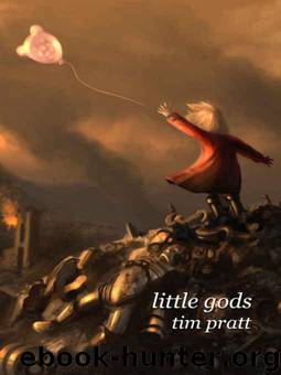 Little Gods by Pratt Tim