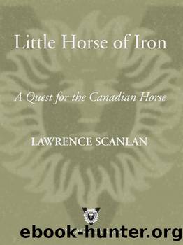 Little Horse of Iron by Lawrence Scanlan