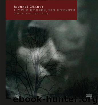 Little Houses, Big Forests by Siouxzi Connor