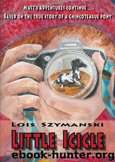 Little Icicle by Lois Szymanski