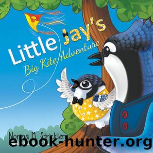 Little Jay's Big Kite Adventure by Norma M. Stricklen