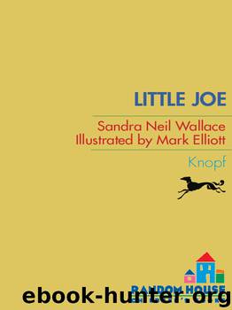 Little Joe by Sandra Neil Wallace
