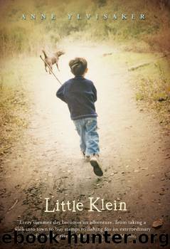Little Klein by Anne Ylvisaker