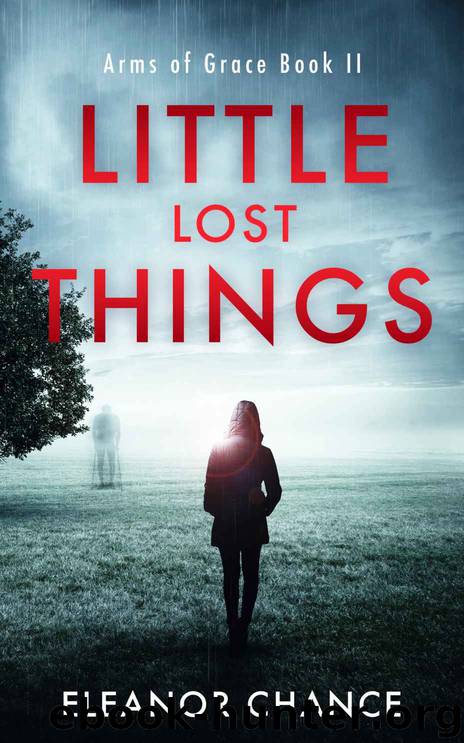 Little Lost Things by Eleanor Chance