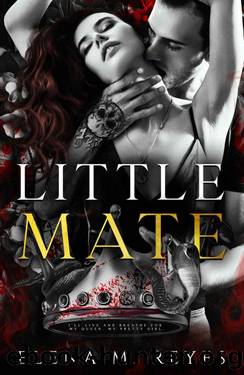 Little Mate (Fate's Bite Book 2) by Elena M. Reyes