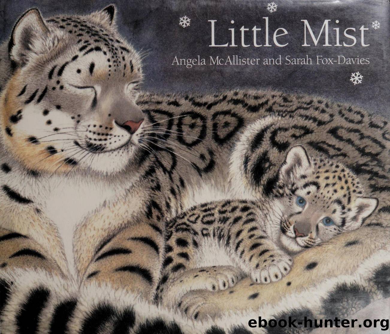 Little Mist by McAllister Angela;Fox-Davies Sarah illustrator