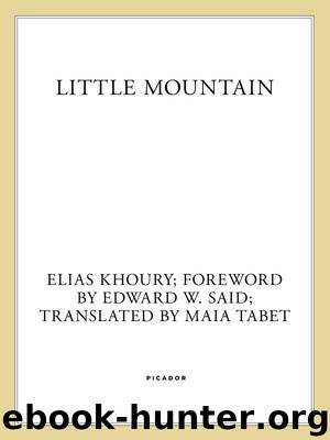 Little Mountain by Elias Khoury