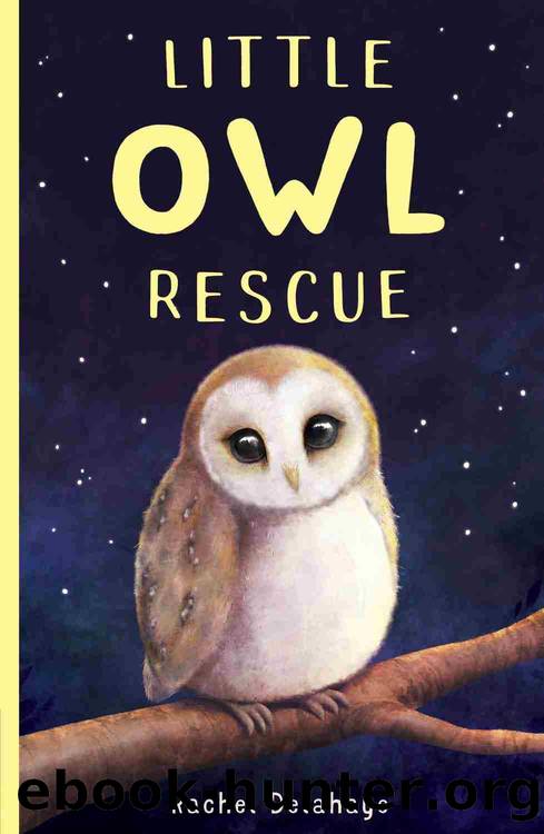 Little Owl Rescue by Rachel Delahaye