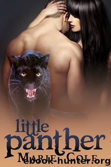 Little Panther by Marie Cole