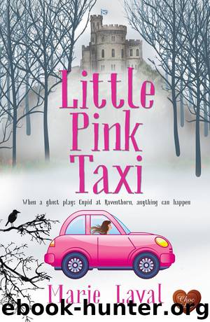 Little Pink Taxi by Marie Laval