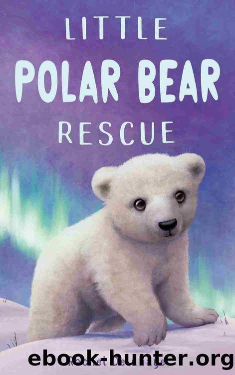 Little Polar Bear Rescue by Rachel Delahaye