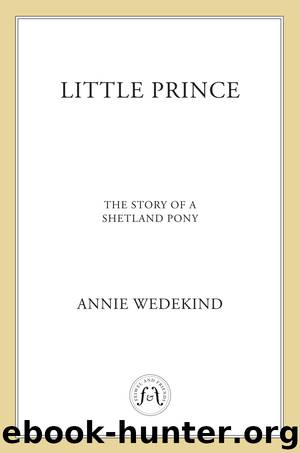 Little Prince - The Story of a Shetland Pony by Annie Wedekind