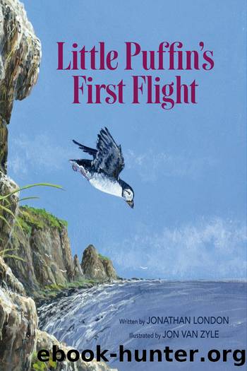 Little Puffin's First Flight by Jonathan London
